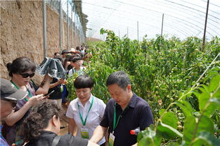 大荔县人民政府 消费者代表观摩大荔农产品质量安全监管工作